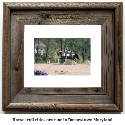 horse trail rides near me in Darnestown, Maryland